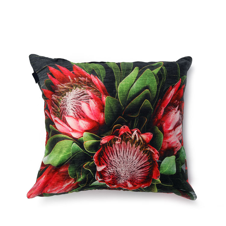 Protea pillows clearance